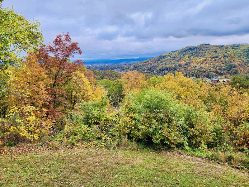 Fall Deck View