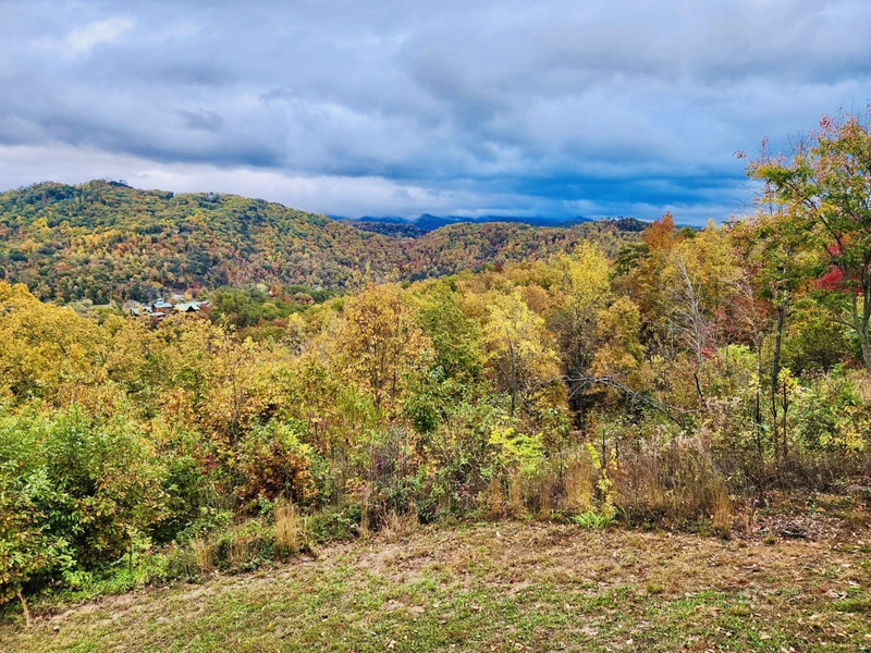 Fall Deck View