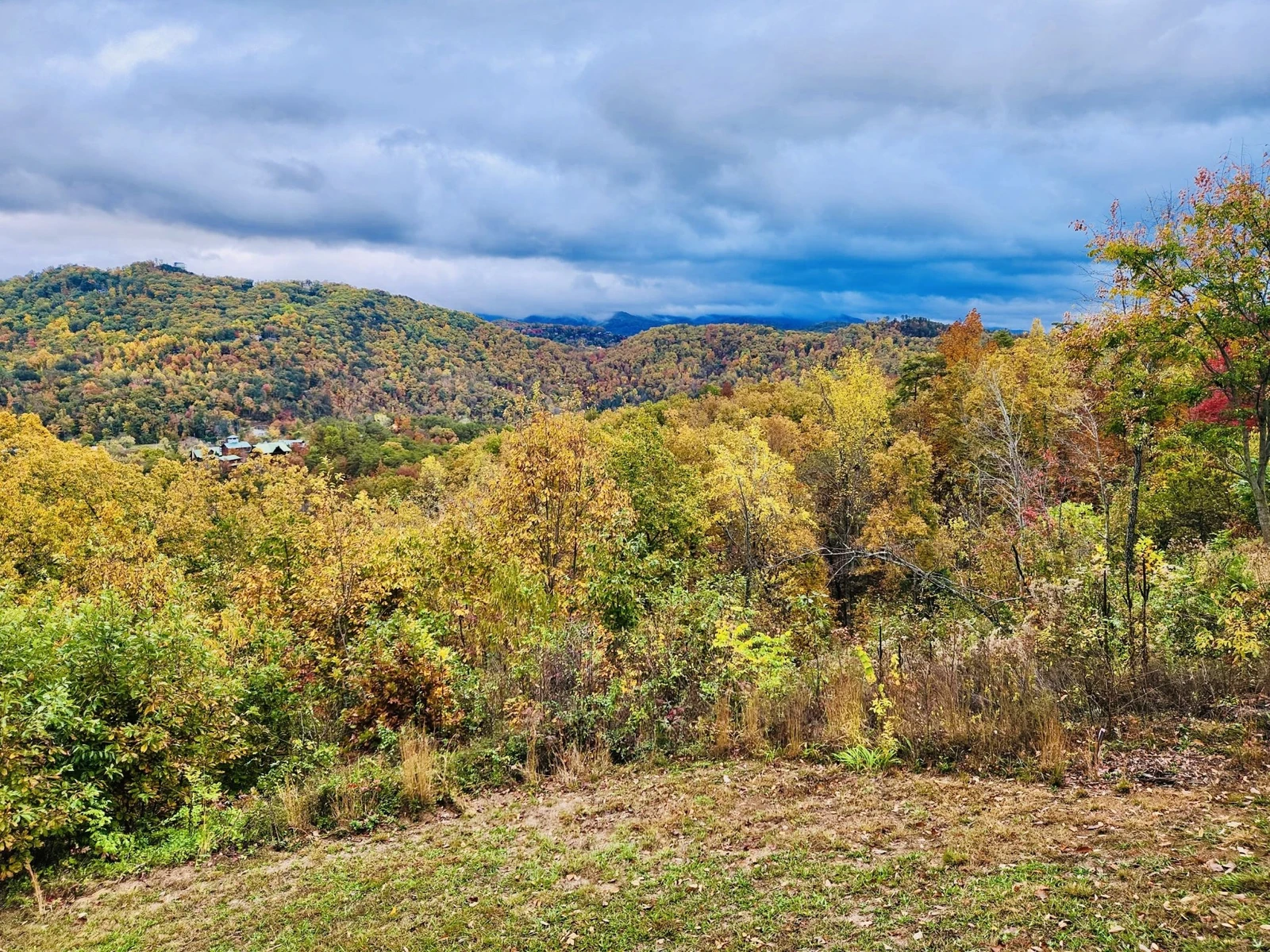 Fall Deck View