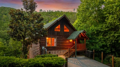 Cubby Bear Cabin