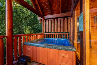 Cubby Bear Cabin