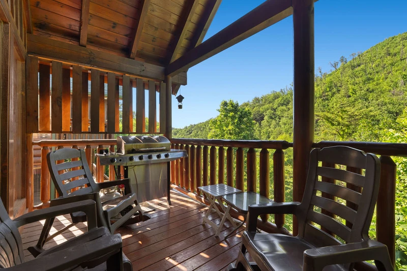 Cubby Bear Cabin
