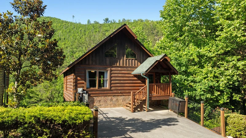 Cubby Bear Cabin