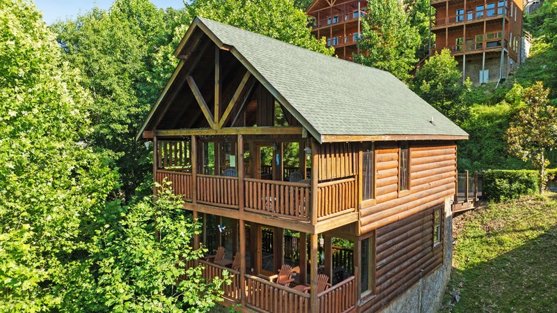 Cubby Bear Cabin