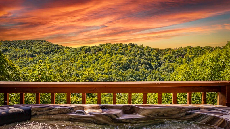 Abundant Views