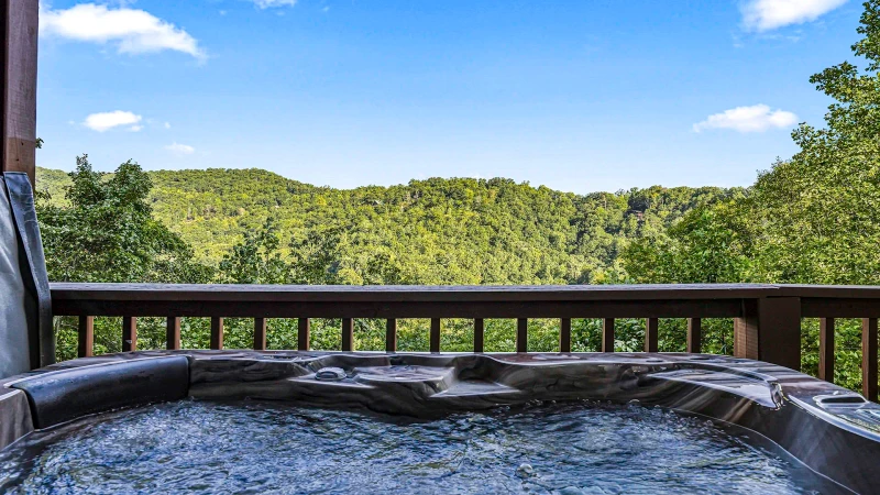 Abundant Views