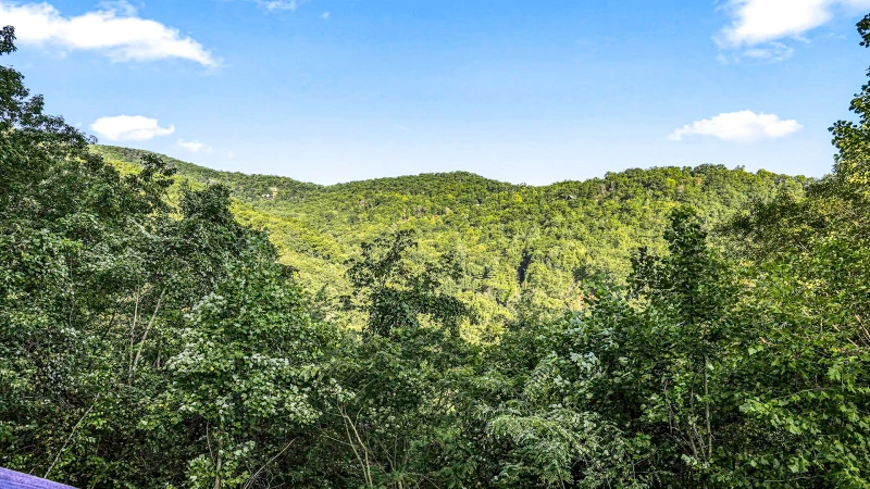 Abundant Views