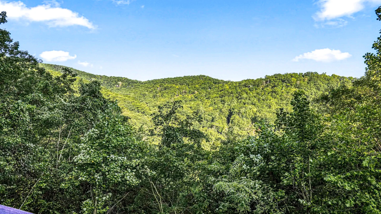 Abundant Views