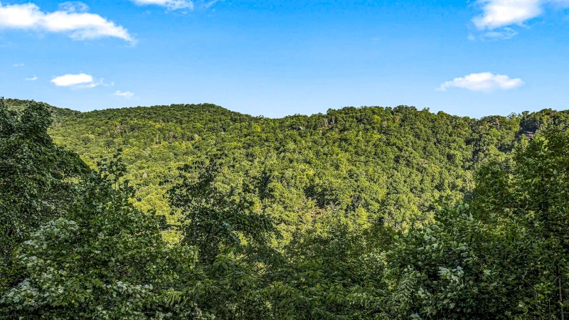 Abundant Views