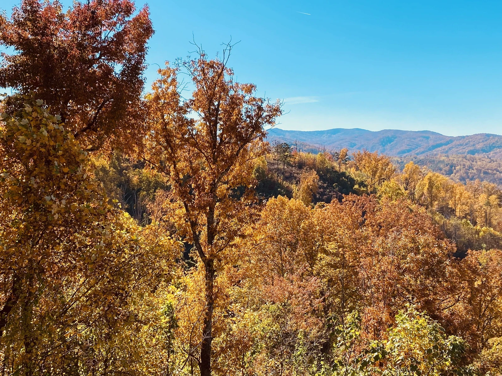 Fall View Back Deck