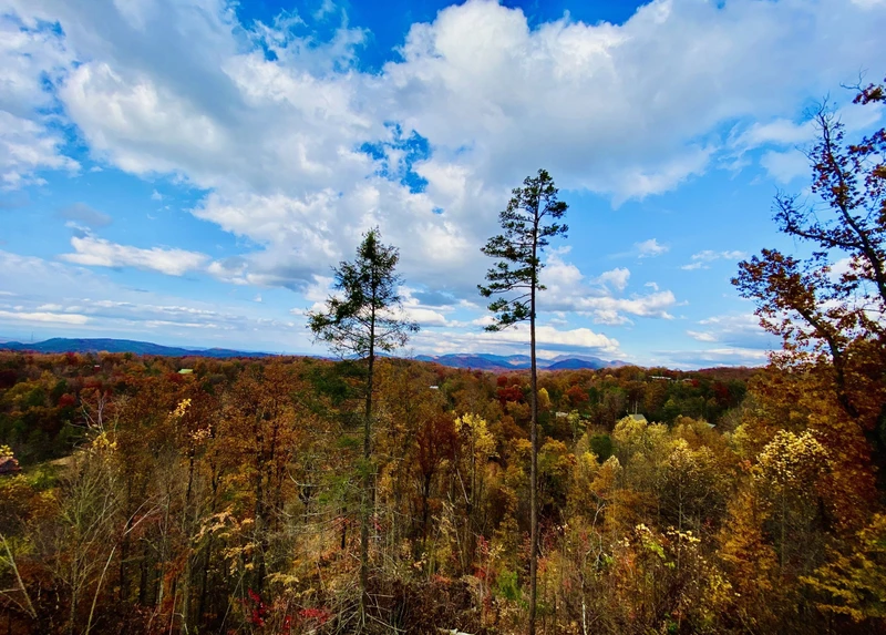 Fall View