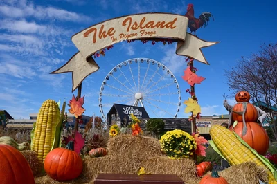 fall decor at The Island in Pigeon Forge