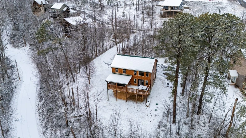 Aerial Winter View