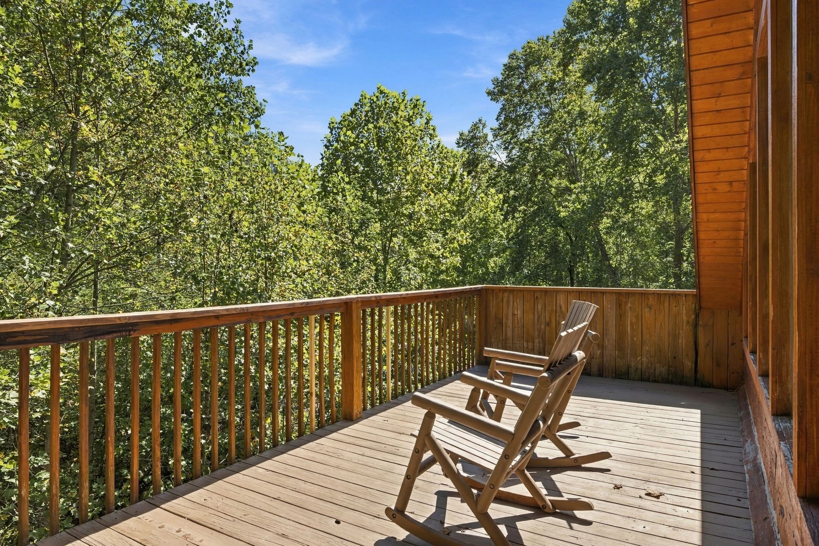 Black Bear Hideaway