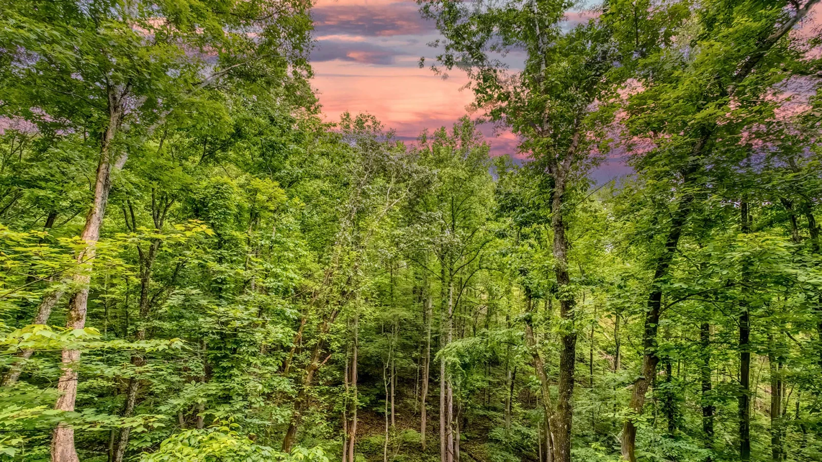 Hidden Ridge Retreat
