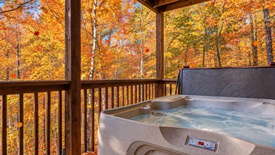 Smoky's Lodge - The Cabin Lady