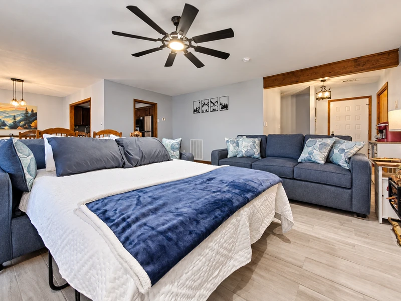 Pull out sofa bed - queen size - in the living room