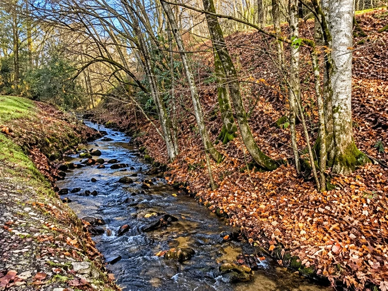 Property image, Exterior, of Cub Creek