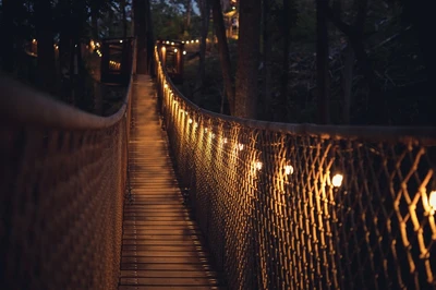 treetop skywalk at anakeesta in gatlinburg tn