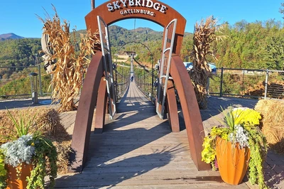 Gatlinburg SkyBridge fall