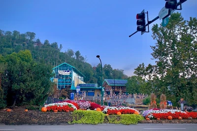 Ripley's Aquarium Fall
