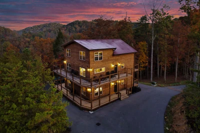 Stay Wild Cabin