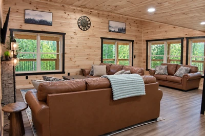 Stay Wild Cabin
