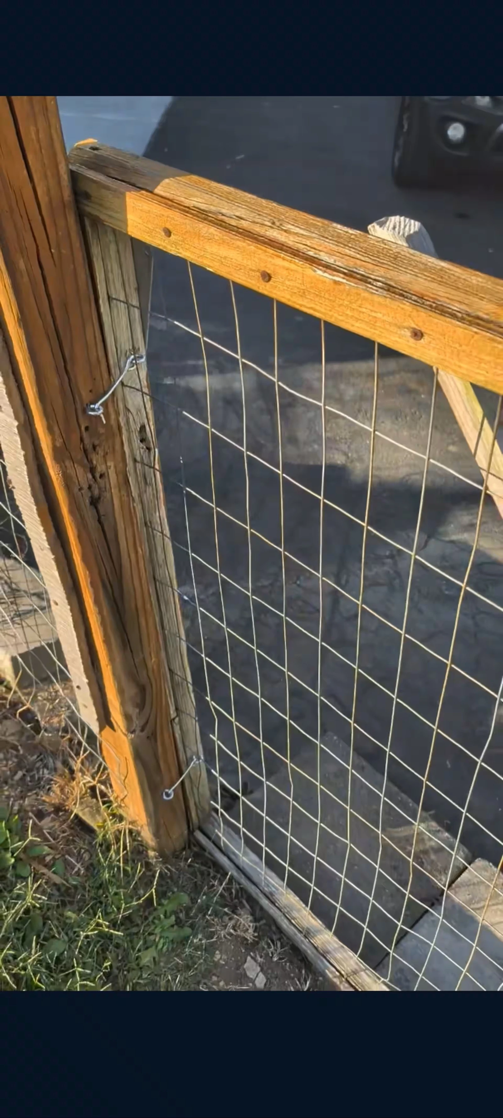 Back yard gate