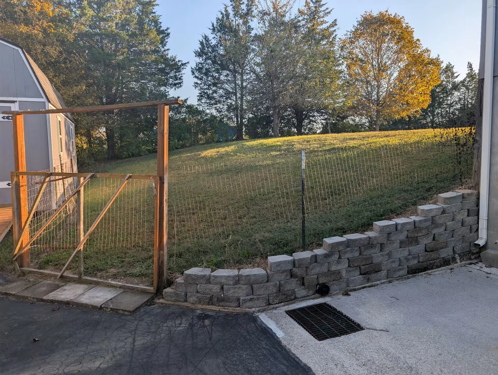 Back yard