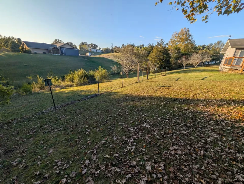 Back yard