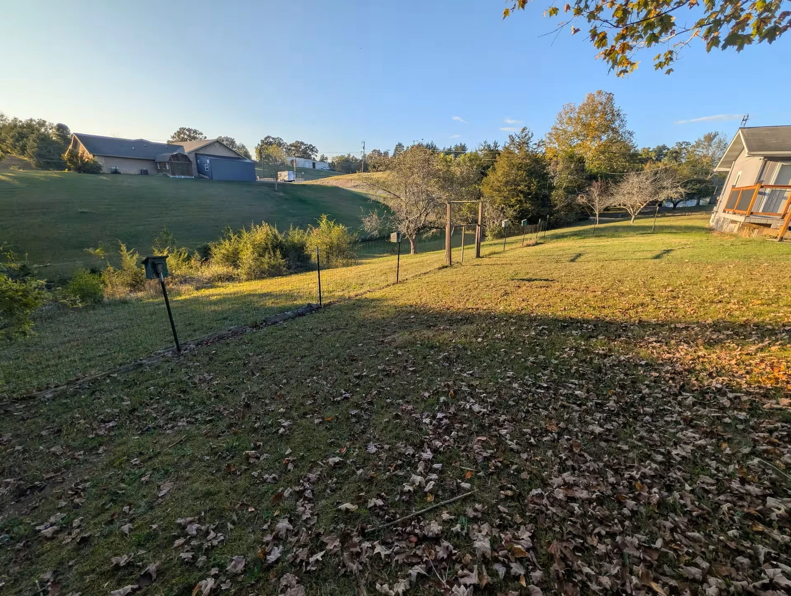 Back yard