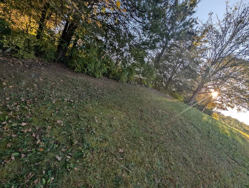 Back yard