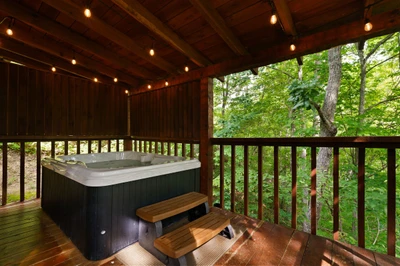 Hot tub surrounded by trees at Nestled Oaks