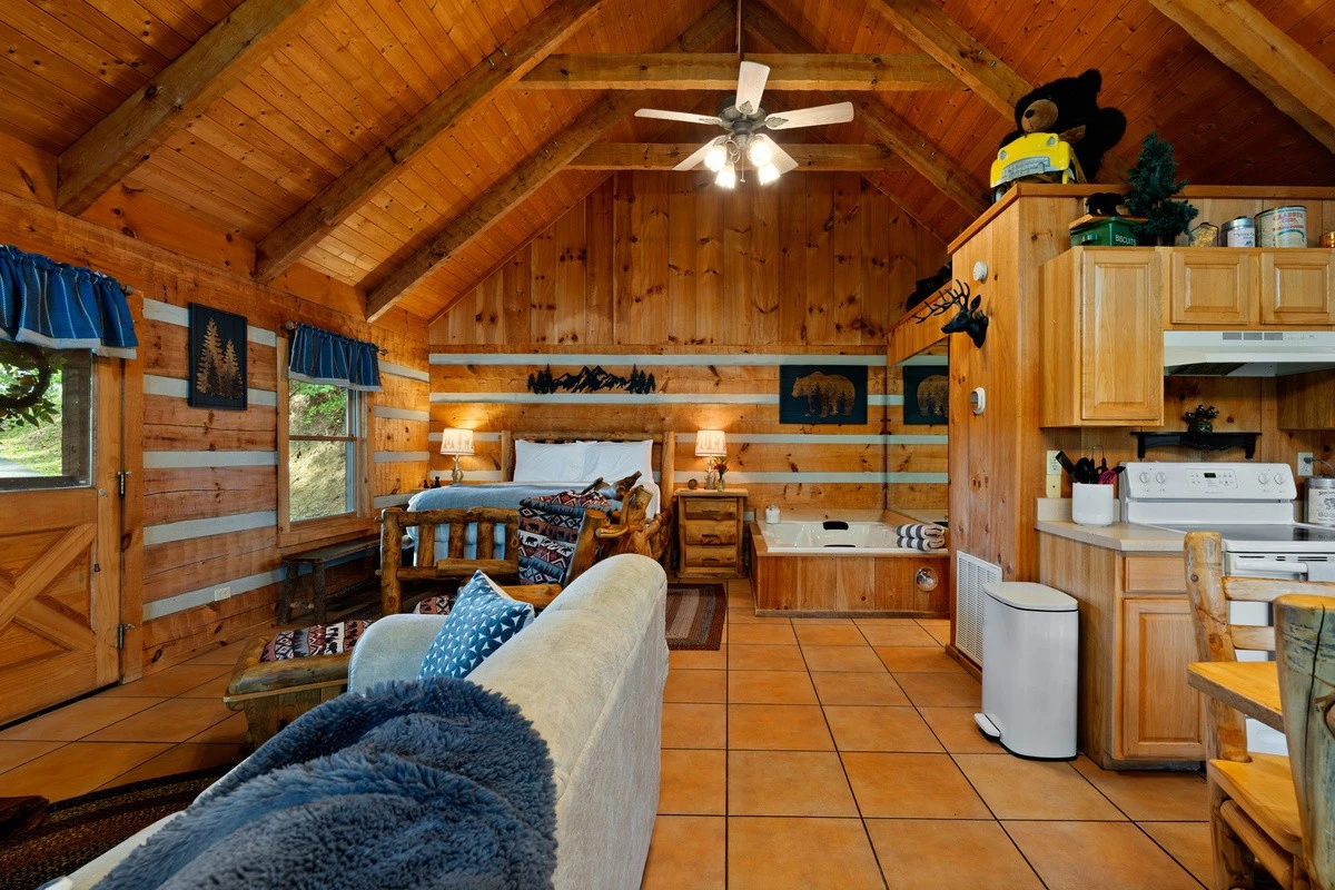 Open studio layout with living area and vaulted ceiling