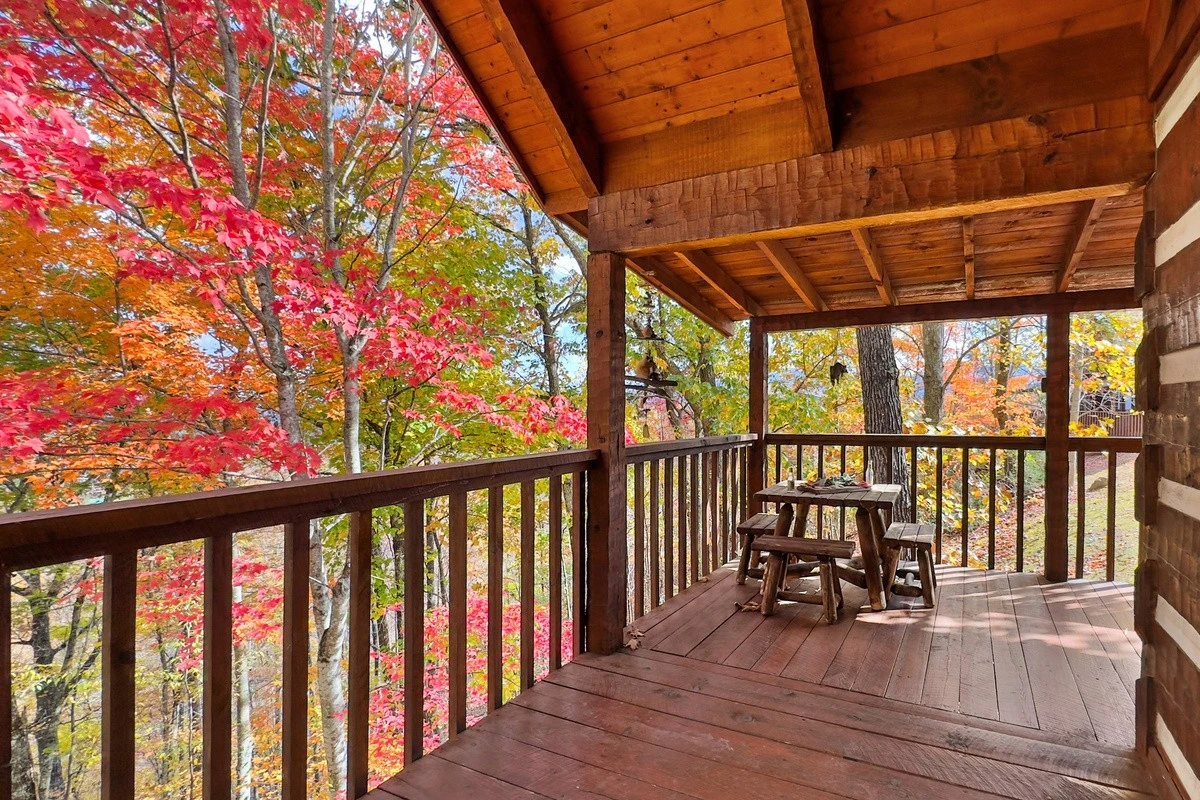 Deck surrounded by fall foliage