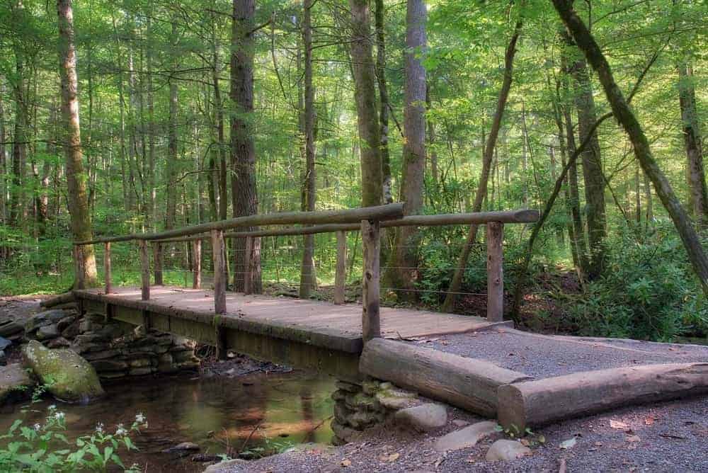 Hiking trail in the Smoky mountains