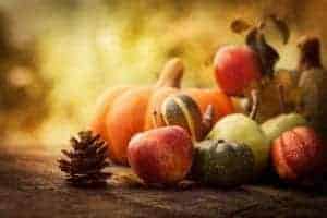 Harvest pumpkins and pinecone