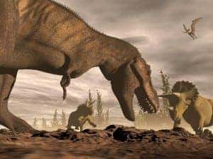 T Rex roaring at Triceratops 