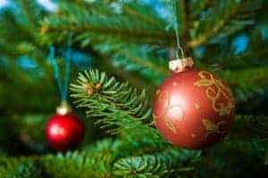 Red Christmas ornament hanging on tree branch