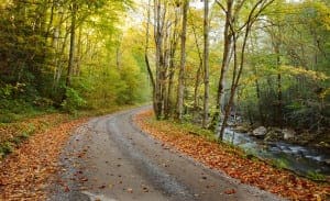 Road in the Smoky Mountains in the fall