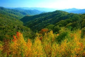 Smoky Mountains in the fall with leaves changing colors