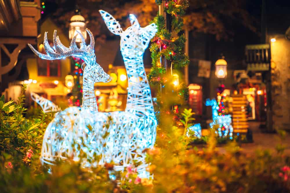 deer Christmas light figures in Gatlinburg