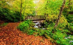 The great smokey mountains national park, bridge with waterfall , hiking trail falls colors