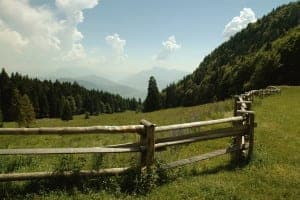 View of a Smoky Mountain valley in the springtime