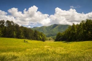 View of a field overlooking the Great Smoky Mountains National Park in the spring