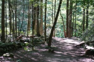 the gatlinburg trail