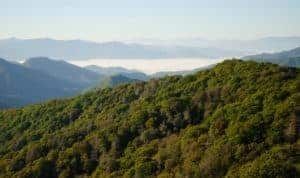 View of the Smoky Mountains from Newfound Gap