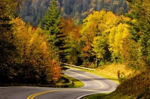 Autumn trees lining a road through the Great Smoky Mountains