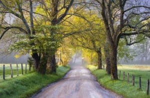 Hyatt Road in Cades Cove