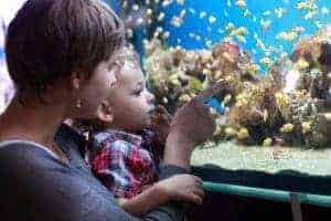 family at the aquarium in Gatlinburg